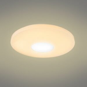 Stropní svítidlo 41336-24 LED 44 cm